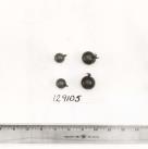 Click for 1 image(s) for this accession. FRUIT